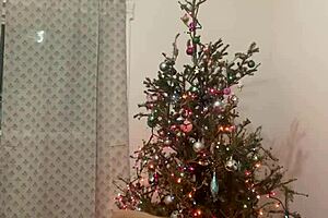 anna maria dances sexy christmas video