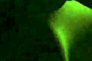 Fucking her from behind, then cumming on her chest outside.