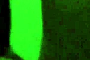 it was nighttime in amateur italy when this mature european milf gave a blowjob and handjob to her partner