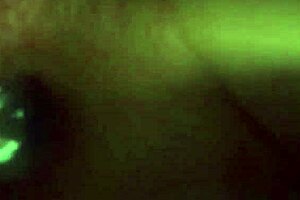 i'm wild horny milf sofie marie lickin' lucky dude's monster cock