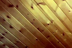 Giant dildo teasing milf's ass