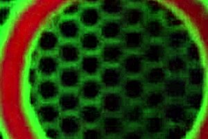 i'm curvy thick twat tonguing with sara jay and others