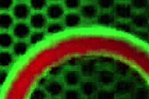 Сиськастая кугара Карен Фишер бреет мокрую пизду в ванне для дикого траха
