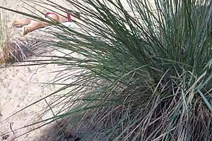 我在海滩上猛射在她脸上