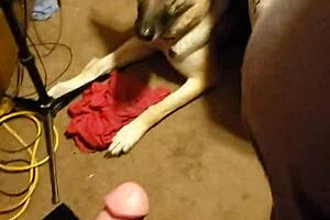 Doggie Style Creampie with Milf