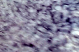 ママがショップフィッティングルームで手で潮吹きしてるの捕まえた！