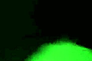 Filming behind the scenes with Cracky?