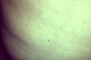 madre soltera quiere mi leche adentro