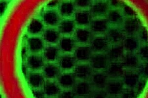 嘿萨拉·杰，那些大奶子怎么应付马克·伍兹的鸡巴？