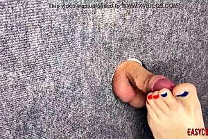 האם אי פעם משכת זין קטן 18+ דרך גלורי הול עם הרגליים הסקסיות שלי? נחש מי בשליטה, AnnyCandy Painboy!