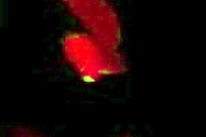 Francoska učiteljica daje javno ročno delo v parku, študent eksplodira! Wow!