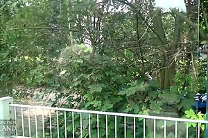 ميلف ألمانية كاثي تشتهي عمل قوي في الشرج