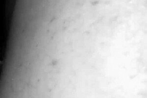 amateur redhead milf with big booty gets stretched and creampied by damian sanchez's bbc