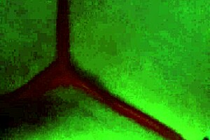 Mexican Prostitute Bends Over for Anal Assfucking