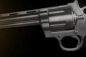 Eliza Rae in lingerie before interracial casting scenes