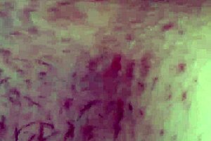 She cums hard in his face as he eats her hairy pussy at home