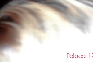 Me exibindo no carro, fui pra casa de swing com dois safados, chupei eles e me pegaram gostoso na frente de todos no glory hole!