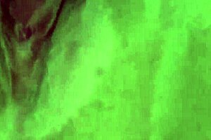 老骚货被黑人猛男镜头前狠操