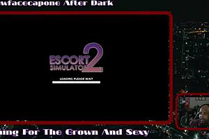 i'm playing escort simulator 2 with a thick milf and only one client