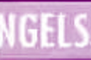 hot bodyguard convinces politician to pick women