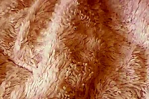 just a fetish with this milf amateur