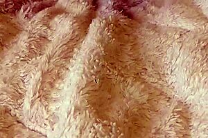 just a fetish with this milf amateur