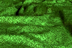 Redhot fox in a sexy homemade scene 😍