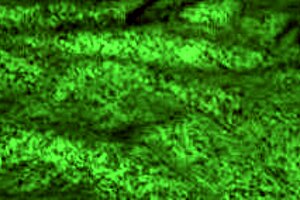 Redhot fox in a sexy homemade scene 😍