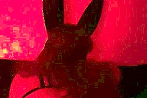 Is this the night for the model?