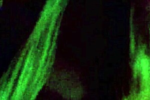 Well, When You Know It's Going Down in Homemade Mature Scene