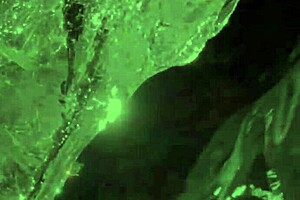 cheating with stepmom lauren phillips in doggystyle big ass titty fuck