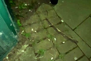 cracky forgets about public exposure