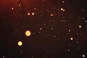 Double Penetration Scene Gets Wild With Hands-On Camera Action! 😜