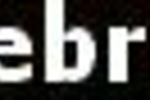 Ever Seen Liv Tyler Topless in Stealing Beauty?