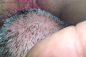 嘿，我现在正在舔我老婆那甜蜜的小逼