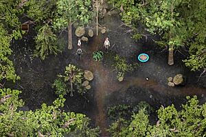 Complete Gameplay of Lust Epidemic Part 16 With Wild Riding