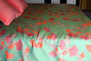 我是Adrees Quin，性感金发熟女在传教士和骑乘中对巨鸡巴喷水。