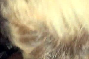 Blonde Latina Mature Slut Deepthroats Massive BBC Now!