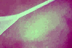 Amateur Pink Pussy 29 Days After Losing Her Virginity