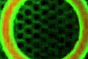 Angelina Castro Makes Her Unstoppable Cuban Pussy Squirt