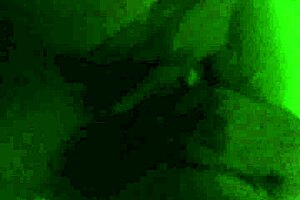 Chubby Mature Woman Performs Blowjob and Fingering on Phone