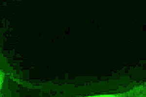 Chubby Mature Woman Performs Blowjob and Fingering on Phone