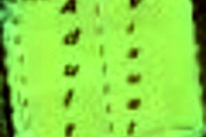 a wife and her mother-in-law share family stories