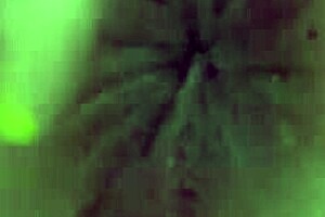 hot mature woman fucks her young stepson passionately