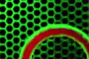 Mature Curvy Brunette Mz Dani Enjoys Lesbian Kisses And 69 Position With Orgasm And Toys