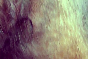 The HAIRY MATURE MILF gets her ASS RIMMED by an AMATEUR.