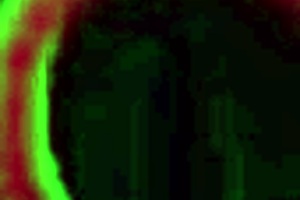 Layla Quinn screams as Rome Major nails her holes!