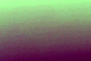 My Chilean whore and I