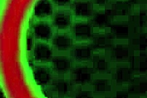 סבנה סטיילס מקבלת קרימפיי מרום מג'ור