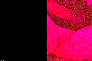 Will this be you someday? 😊